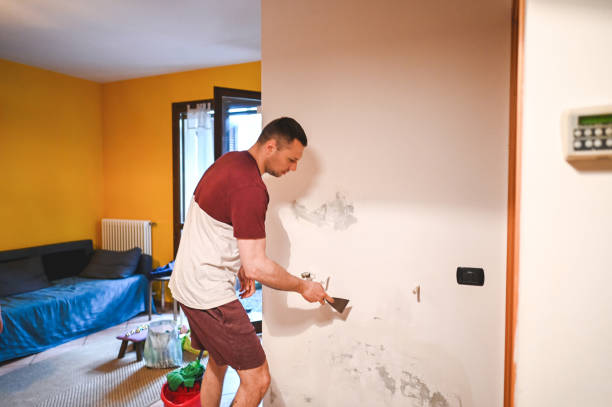 Best Fast Mold Removal  in Poynette, WI